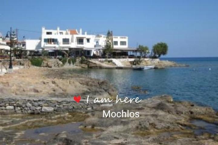 On The Sea Despoina Apartment At Mochlos Creta エクステリア 写真